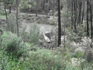 a river in the middle of a forest with trees at Lavenderpatch in Mundaring
