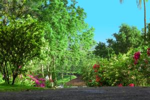 Taman di luar Parisons Plantation Experiences by Abad