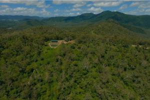 an aerial view of a house in the middle of a forest at Ridge Cabin - Stunning Views - 5km From Neighbours in Airlie Beach