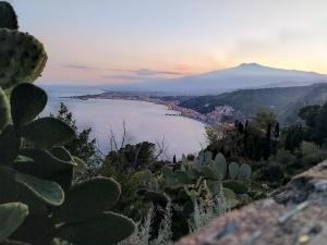 Príroda v okolí of the bed and breakfast