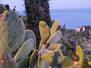 Príroda v okolí of the bed and breakfast