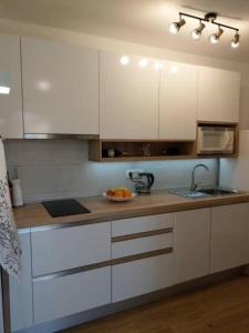 Kuchyň nebo kuchyňský kout v ubytování Apartment Hitri