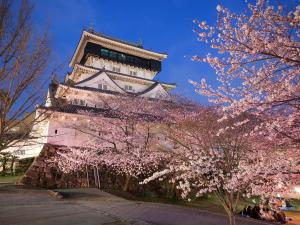 北九州市にあるホテルリリーフ小倉Annexの目の前にピンカクラの木が植えられた塔