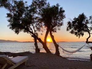 eine Hängematte und Bäume am Strand bei Sonnenuntergang in der Unterkunft Seesoo Paros Beachfront Resort in Pounda