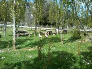 PapasideroにあるB&B Ristorante Grotta Del Romitoの芝生の木々とピクニックテーブルのある公園
