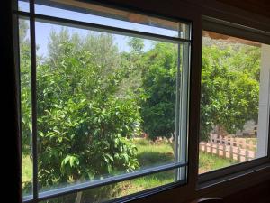 a window with a view of a tree at The Mussel House in Ksamil