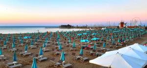 un mucchio di sedie e ombrelloni su una spiaggia di Hotel Paloma a Rimini