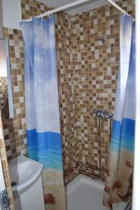 y baño con ducha, aseo y lavamanos. en La Vasile la Cazan, en Mara