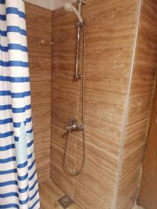 een douche in een badkamer met een douchegordijn bij Vikendica Ines in Nova Varoš