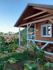 a wooden cabin with a window and some flowers at The Mussel House in Ksamil