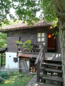 Zahrada ubytování Etno Guest House Gorski car