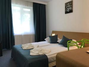 Säng eller sängar i ett rum på Hotel Lebăda