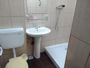 A bathroom at Hotel Lebăda