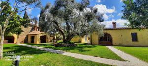 a tree in the yard of a house at Villa Lorenzo con wi-fi, aria condizionata, posto auto in Castagneto Carducci