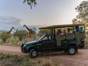 a group of people riding in a green jeep with giraffes at Dikhololo in Brits