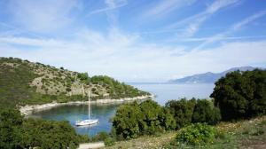 Photo de la galerie de l'établissement LE SAINT FLORENT, à Oletta