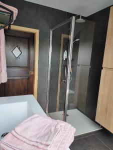 a bathroom with a shower and a sink at Gastenverblijf Hof Moye Tyt in Middelkerke