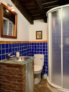 a bathroom with a toilet and a sink and a shower at Casa La Corrala in Chinchón