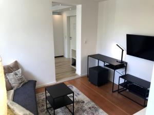 uma sala de estar com um sofá e uma televisão de ecrã plano em Business Apartment TUSCANY mit großer Gartenterrasse em Reutlingen