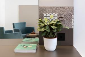 a plant in a white vase sitting on a table at Bayview Hotel by ST Hotels in Il-Gżira +31 photos