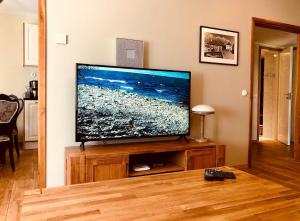 TV a/nebo společenská místnost v ubytování Kohtu Apartment Unique
