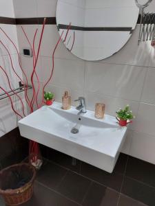 A bathroom at Buze Rodriguez Suite