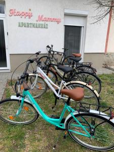 Jazda na bicykli v okolí ubytovania Happy Mammy Bababarát Apartmanház 1 - Hűvös utca
