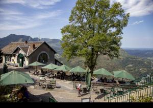 um grupo de mesas e guarda-chuvas verdes em frente a um edifício em Helgon Hotel - Lourdes Pyrénées em Lourdes