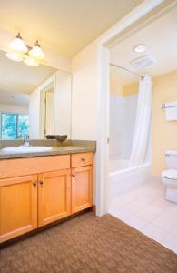 a bathroom with a sink and a toilet at WorldMark Canmore-Banff in Canmore