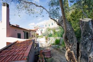 Foto de la galería de Casa Carlotta - Goelba en Marina di Campo