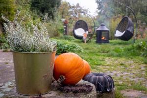 Giardino di ENJOY COZY Tree House Hills Forest Gardens Beautiful Views Sauna Hotbath