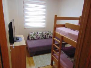 a dorm room with a bunk bed and a couch at Apartman Magic Zlatibor-Čajetina in Čajetina