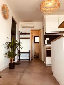 a kitchen with white cabinets and a potted plant at Les Mégalithes in Sète
