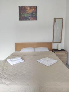 Кровать или кровати в номере Villa Ivanovi