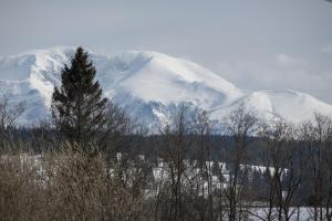 Fotografia z galérie ubytovania domki Nad Termami v destinácii Dzianisz