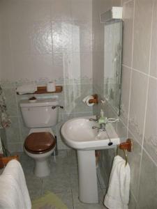 a bathroom with a toilet and a sink at Achill View B&B in Murrisk