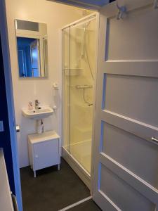 een badkamer met een douche en een wastafel bij ANdesluis in Deventer