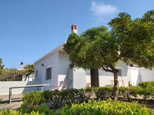 a white house with a tree in front of it at Giannis Stella apartment in Mourteri