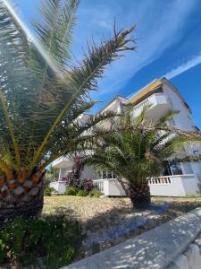 un edificio con palmeras delante en Apartments Štokić, en Rab