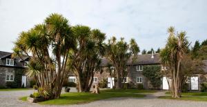 a group of palm trees in front of a house at Tros Yr Afon Holiday Cottages and Manor House in Beaumaris