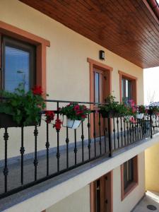einen Balkon mit Topfblumen auf einem Gebäude in der Unterkunft Pensiunea Corina Tulcea in Tulcea