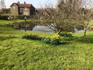 a bunch of flowers in the grass next to a pond at Hall Farm Bed & Breakfast in Terrington