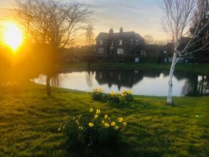 ein Haus und ein Teich mit Blumen im Gras in der Unterkunft Hall Farm Bed & Breakfast in Terrington