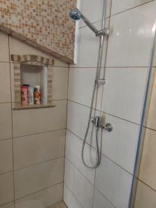 a shower with a shower head in a bathroom at Apartment Balinovaca in Skradin +37 photos