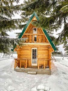 a log cabin with a green roof in the snow at Cottage Uskoci in Žabljak