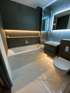 a bathroom with a toilet and a sink at Beautiful modern cosy central apartment / sleeps 4 in Reading