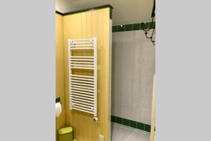 a bathroom with a shower and a toilet in a room at Melford Allotment Shed-Vintage Lodge Suffolk in Long Melford
