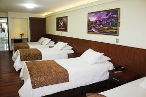 ein Hotelzimmer mit drei Betten in einem Zimmer in der Unterkunft Hotel Newen in Temuco + 37 Fotos