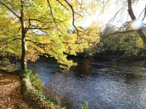 a river with trees and a bridge in the background at Jasmine Cottage in Richmond +14 photos