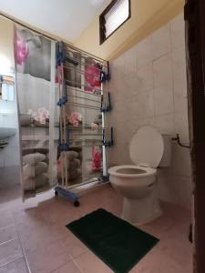 a bathroom with a shower with a toilet and a shower curtain at Appartement ABS in Abidjan